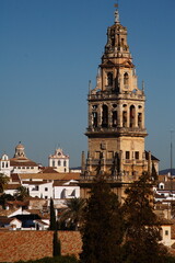 Cordoba, la Mezquita, tower La Giralda