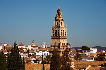 Fototapeta na wymiar Cordoba, la Mezquita, tower La Giralda