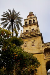 Fototapeta na wymiar Cordoba, Lamezquita, Andalusia, Spagna