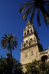 Fototapeta na wymiar Cordoba, Lamezquita, Andalusia, Spagna