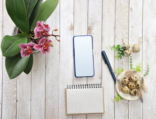 Smartphone mock up, purple mini orchid flower in a pot, notebook, pen,  fresh quail eggs on a white saucer on wooden table in beige tones . Healthy and diet food concept. Free copy space. Top view