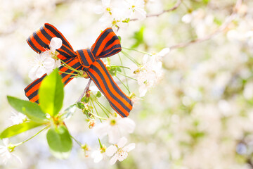 May 9 holiday. ribbon of St.George and cherry flowers, natural spring background. traditional symbol of Victory Day 1945