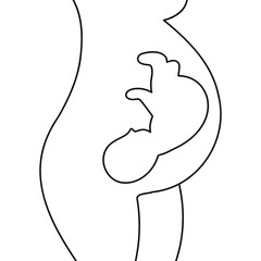 Embryo in woman's belly. Gynecology, reproductive. Fetal baby positions in the uterus during pregnancy.