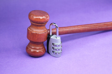 coded locks and court hammers conceptualized as security authorities