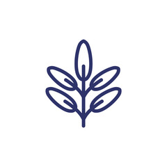 Sage line icon on white