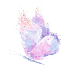 Abstract butterfly with bright pink and blue wings, with blotches and splashes on an isolated white background. Watercolor illustration for designers, typography, books, cards, for printing products.