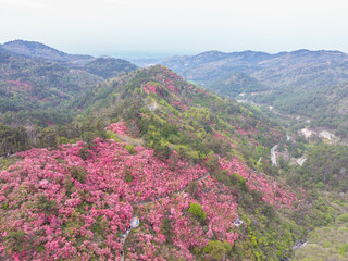 Spring scenery of Huangpi Mulan Yunwu Mountain in Wuhan, Hubei