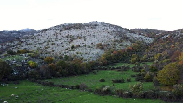 Drone footage with camera move forward to a beautiful mountain landscape, green meadow and a rocky mountain peak