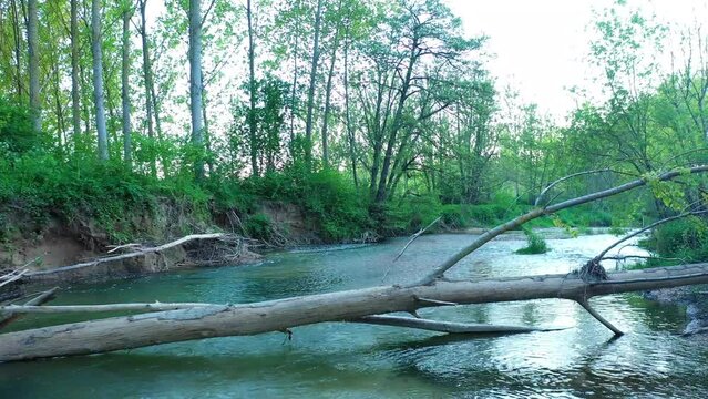 View of a river and riparian forest in summer time. Drone view. Ega river, Navarre, Spain, Europe. 4K.