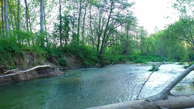 View of a river and riparian forest in summer time. Drone view. Ega river, Navarre, Spain, Europe. 4K.