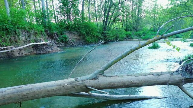View of a river and riparian forest in summer time. Drone view. Ega river, Navarre, Spain, Europe. 4K.