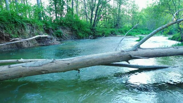 View of a river and riparian forest in summer time. Drone view. Ega river, Navarre, Spain, Europe. 4K.