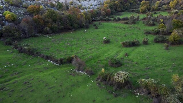 Drone footage with camera move forward. View from above on a beautiful mountain green meadow