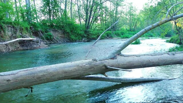 View of a river and riparian forest in summer time. Drone view. Ega river, Navarre, Spain, Europe. 4K.
