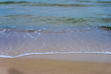 piasek nad morzem na plaży leżą muszle