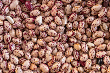 Dried beans. kidney bean