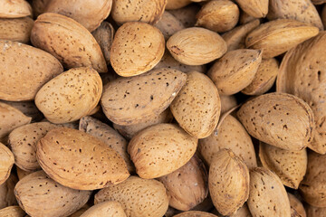 photo of shelled almonds