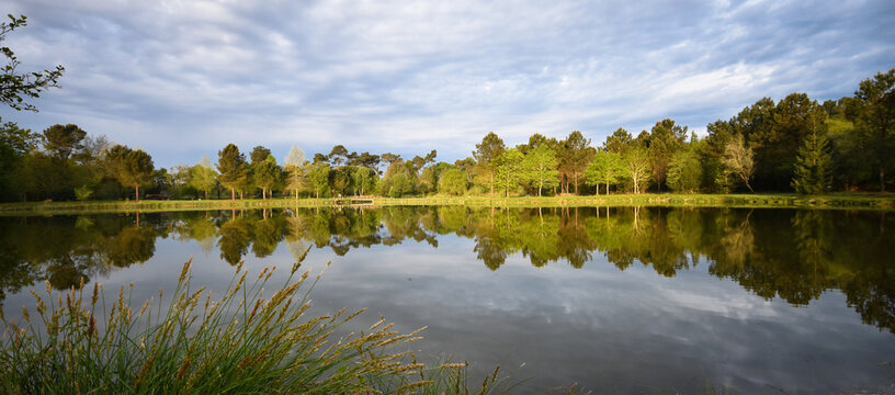 Etang de Massy au printemps (Gaill&egrave;res, Sud-ouest France), grand angle, nature, effet miroir, sym&eacute;trie parfaite, lumi&egrave;re rasante, photo parfaite
