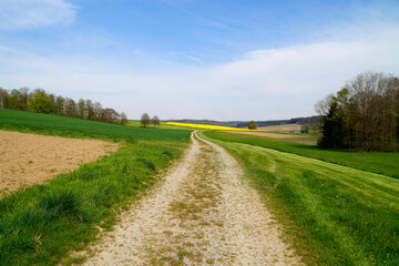 beautiful sunlit spring landscape with endless fields of the Bavarian countryside in Winterbach (Germany, Bavaria, Swabia)