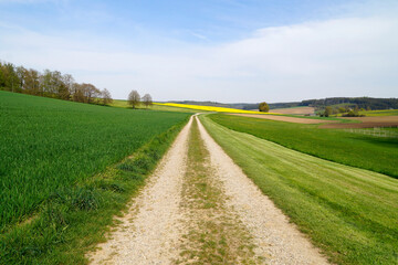 beautiful sunlit spring landscape with endless fields of the Bavarian countryside in Winterbach (Germany, Bavaria, Swabia)	