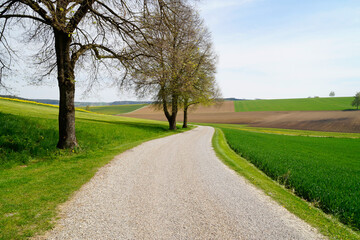 Fototapeta na wymiar a road leading through the picturesque German (Bavarian) countryside on a sunny spring day 