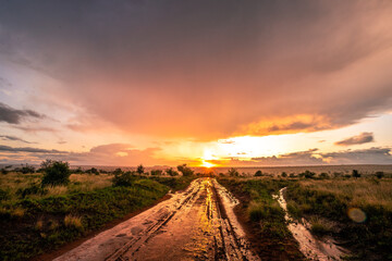 Rainy season in Kenya's savanna. Beautiful landscape in Africa at rainy season, sun, rain, rainbow....