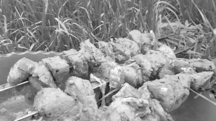 Fresh raw pork meat strung on a skewer for cooking on coals, on a barbecue grill. Summer family picnic, meat preparation, outdoor, on the grass