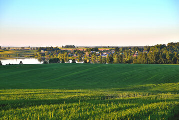 green wheat field, lake and village in the distance, idyllic summer landscape, trees and sunny summer evening, summer evening landscape, selective focus, soft focus