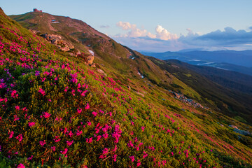 Eastern Carpathians in the evening. Ukraine.