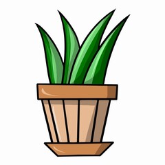 Green plant sansevieria, aloe in a ceramic pot, indoor plants, cartoon vector illustration