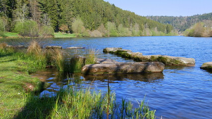 An der Nagoldtalsperre im Frühling