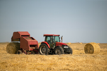 A round baler unloads a bale of fresh wheat during the harvest. Large round bales of hay stacked in the field are dried in the sun under bright blue skies after the harvest.