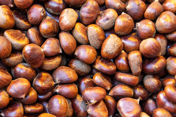Chestnuts close-up raw chestnuts for Christmas. Fresh sweet chestnuts