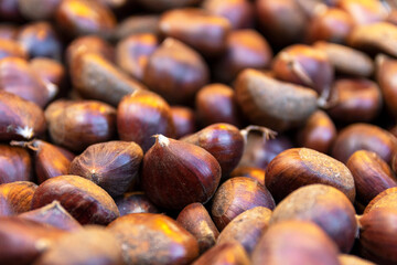 Chestnuts close-up raw chestnuts for Christmas. Fresh sweet chestnuts
