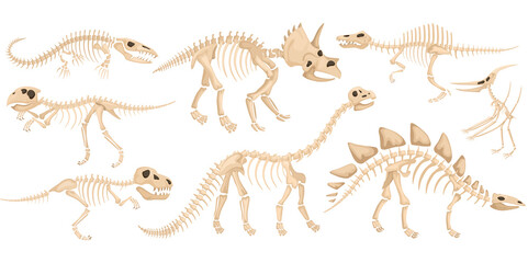 Fototapeta na wymiar Dinosaur Skeleton Icon Set