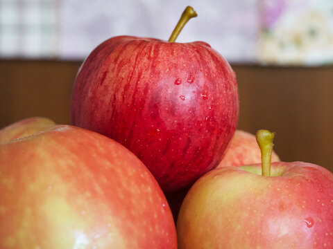 A few ripe striped apples, a close-up shot. Apples of the gala and Ligol varieties.