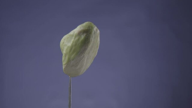 Pistachio rotating with loop on blue screen for chroma key