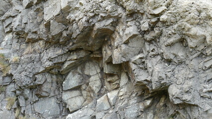 Rock wall in the bush