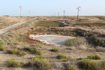 Semi-desert landscape