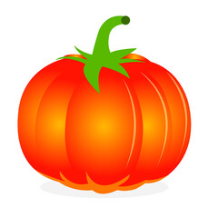Halloween pumpkin in a glossy style vector illustration