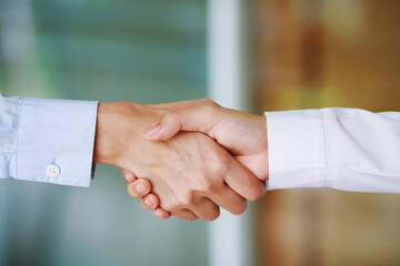 Obraz na płótnie Canvas Closeup of a business hand shake between two colleagues Plaid shirt