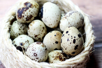 Naklejka na ściany i meble Quail eggs and nest, nature