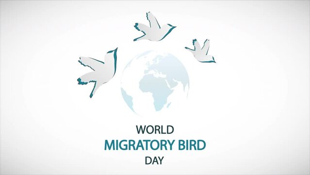 World migratory bird day planet, art video illustration.