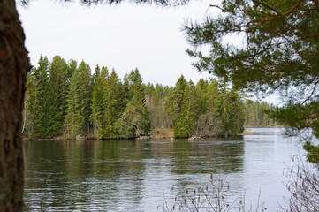Fototapeta na wymiar The river Västerdalälven in the woods of Dalarna in Sweden.