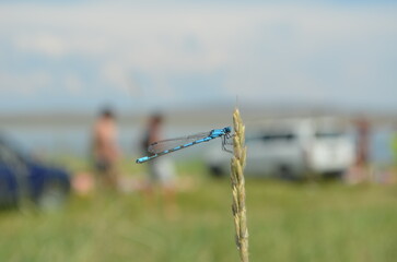 Nature