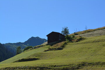 a hat in the swiss alps in green agriculture field, in Disentis.