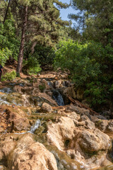 Fototapeta na wymiar Parod or Farod Falls in northern Israel is a beautiful place to hike in the Winter and Spring. 