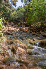Parod or Farod Falls in northern Israel is a beautiful place to hike in the Winter and Spring.
