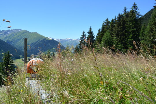 summer agriculture in the swiss alps, view to alp Tgom, Sedrun, and a leaf blower to hay.