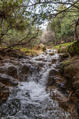 Fototapeta premium Parod or Farod Falls in northern Israel is a beautiful place to hike in the Winter and Spring. 